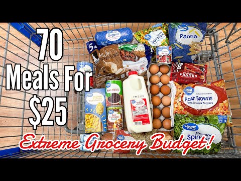 70 Meals For $25 | Quick &amp; EASY Cheap Meal Ideas | Emergency Grocery Budget Shopping | Julia Pacheco