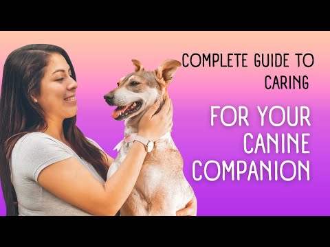 Complete Guide to Caring for Your Canine Companion