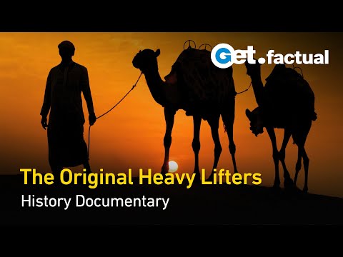 Animals that Changed History - Beasts of Burden | Full Documentary